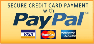 We accept PayPal, VISA, MC, and Amex